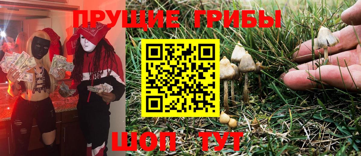 Галлюциногенные грибы Psilocybine cubensis Биробиджан